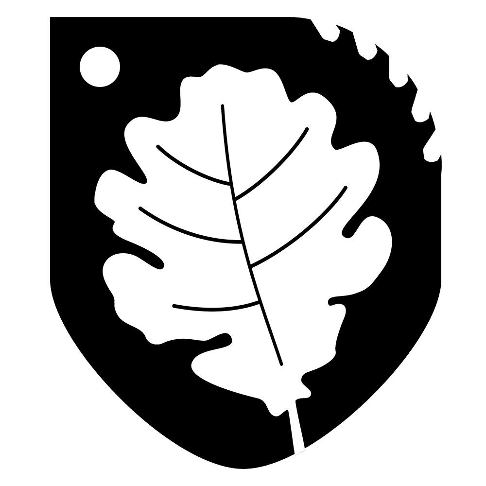 Brand icon